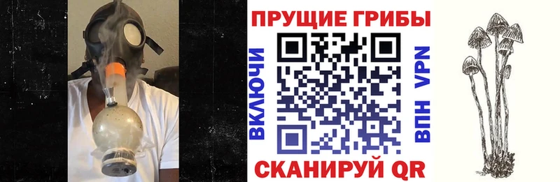 Галлюциногенные грибы Magic Shrooms  магазин продажи наркотиков  Новосиль 